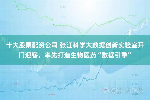 十大股票配资公司 张江科学大数据创新实验室开门迎客，率先打造生物医药“数据引擎”