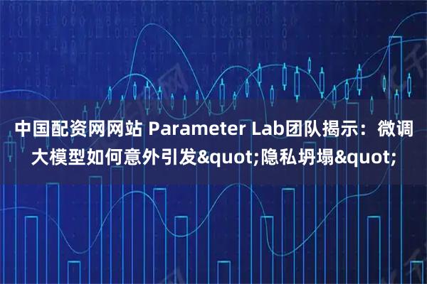 中国配资网网站 Parameter Lab团队揭示：微调大模型如何意外引发"隐私坍塌"
