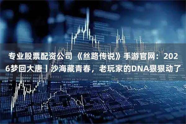 专业股票配资公司 《丝路传说》手游官网：2026梦回大唐丨沙海藏青春，老玩家的DNA狠狠动了