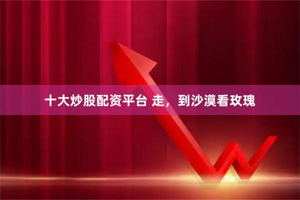 十大炒股配资平台 走，到沙漠看玫瑰