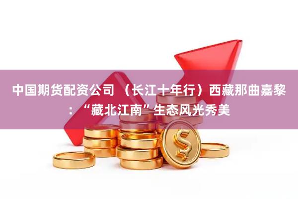 中国期货配资公司 (长江十年行)西藏那曲嘉黎:“藏北江南”生态风光秀美